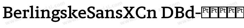 BerlingskeSansXCn DBd字体转换